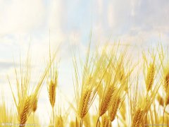 &#33521;&#22269;&#19978;&#24066;&#20844;&#21496;&#23448;&#32593;&#51;&#54;&#53;&#40;&#20013;&#22269;&#41;&#32929;&#20221;&#26377;&#38480;&#20844;&#21496;